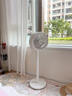 大宇（DAEWOO）【台地两用】空气循环扇家用大风力电风扇卧室轻音全屋循环大风力落地扇 F45 实拍图