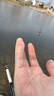神鲨湖库王4.5米鱼竿超轻超硬碳素钓鱼竿手竿台钓竿鲤鱼杆鲫鱼竿渔具 实拍图