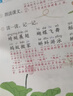 2026斗半匠课堂笔记一年级下册语文人教版黄冈学霸笔记随堂笔记同步教材全解小学生课前预习课后复习辅导书 实拍图