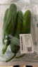【水果菜】荷兰水果黄瓜约400g 实拍图