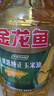 金龙鱼 食用油 非转基因 纯正玉米油5L  实拍图