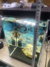 【8成新】米家智能桌面鱼缸小米生态鱼缸小型智能专业背滤一体缸自循环   实拍图
