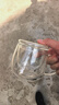富光花茶杯 男女士茶水分离杯子 双层办公泡茶玻璃杯带把高硼硅水杯 实拍图
