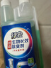 绿伞管道生物长效除臭剂 下水道管道浴室马桶地漏除臭剂 500g  实拍图