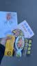 怀孕每周吃什么+怀孕一天一页 孕妇食谱营养三餐孕期食谱菜谱孕期书籍大全孕期书籍怀孕书籍 孕妇食谱营养书 怀孕每周吃什么+怀孕一天一页+怀孕40周营养食谱 实拍图