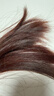 施华蔻（Schwarzkopf）怡然摩丝染发霜4.9桑葚藤紫 泡泡染发剂染发膏轻松染盖白发 实拍图