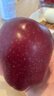 京鲜生 甘肃天水花牛苹果 又大又红 净重10斤 单果200g以上 生鲜水果 实拍图