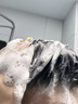 维特丝防脱洗发水生姜固发侧柏叶育控油去屑洗头膏露男女士金榜第1 实拍图