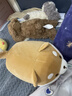 名创优品（MINISO）趣味阿柴-弹力超柔趴姿公仔毛绒玩偶玩具抱枕靠枕娃娃生日礼物女 实拍图