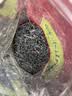 正山小种红茶茶叶武夷山春茶特级2025新茶蜜香浓香型 250g（一级袋装） 实拍图