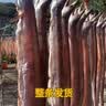 宁波舟山特产整条微咸风鳗筒鳗鱼干咸鱼当季渔民新晒鱼鲞海鲜干货 本地风鳗（整条2.5-3斤）超级推 实拍图