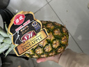 佳农 黑钻菠萝1粒装 菲律宾凤梨 净重2斤起 生鲜水果 源头直发 包邮 实拍图