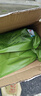 采茶伯茶叶乌龙茶 安溪正宗铁观音500g兰花香新茶茶叶袋装口粮茶 实拍图