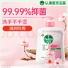 滴露（Dettol）健康抑菌洗手液滋润倍护500g 消毒抑菌99.99% 儿童适用不含酒精 实拍图