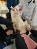 万颐狗粮金毛萨摩耶成年期专用小中大型犬通用型狗干粮20kg 实拍图