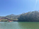 鉴湖2019绍兴黄酒古越龙山旗下花雕酒半干型加饭元红酒善酿香雪礼盒酒 500mL 1瓶 (善酿 半甜型)2019版 实拍图