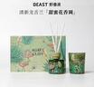 野兽派（THE BEAST）Jungle清新龙舌兰香薰蜡烛礼盒室内香薰新婚礼物生日礼物 实拍图