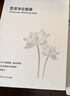MUJI莹透净白面膜 贴片面膜 27mL 实拍图