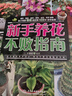 新手养花不败指南 103种沾土就活的植物，再也不当“园艺杀手” 实拍图