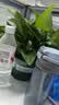 OLORISA澳洛莉 情侣玫瑰按摩精油房事全身私处spa推油情趣润滑100ml 实拍图