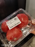 番茄约500g 实拍图