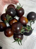 京鲜生 山东寿光黑珍珠小番茄净重2.8斤装 新鲜蔬菜紫色圣女果 源头直发 实拍图