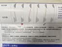 公牛世家马丁靴男鞋真皮2026秋冬季新款加绒保暖厚底增高工装靴子 红棕 42 实拍图
