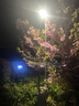 南极人（Nanjiren） 床上四件套+被子被芯+枕芯磨毛床单被套单双人宿舍被罩家用套件  梦-时尚灰 2米床四件套【被套2*2.3米】 实拍图