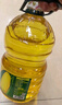 西王 食用油 玉米胚芽油 5L 非转基因物理压榨（新老包装交替发货） 实拍图
