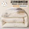 若来（Rolife）Nanci囡茜缤纷小熊毛绒盲盒玩具手办玩偶生日中秋节礼物女孩 整盒 实拍图