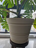 爱丽思（IRIS）特大号圆形花盆种树庭院超大加厚大盆景树木无花果蓝莓果树种植盆 12号米色 约17L (口径35.8cm) 实拍图