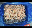 禧美海产加拿大熟冻北极甜虾1斤/袋 65-85只 (MSC认证) 海鲜水产 轻食海鲜 实拍图