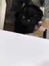 沐瑾宁 电视柜组合现代简约家用小户型客厅可伸缩落地机柜地柜 月牙白140cm电视柜 实拍图