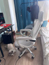 锦汐 电脑椅家用办公椅子靠背人体工学椅学习转椅老板座椅游戏电竞椅 【可后躺】白框灰网 实拍图