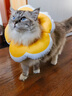 华元宠具（hoopet）狗狗伊丽莎白圈项圈小型犬宠物猫咪颈圈脖圈头套猫伊利沙白圈头罩 实拍图