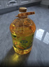 金龙鱼 食用油 非转基因 压榨 一级 纯正玉米油4L（新老包装随机发货） 实拍图