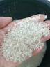十月稻田 当季新米 长粒香大米 10斤（东北大米 香米 5公斤/十斤 实拍图