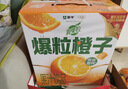 蒙牛真果粒爆粒橙子味果汁饮品240gx10包 龚俊同款 送礼佳选 实拍图