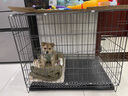 腆宠狗笼猫笼 狗笼子中小型犬带厕所幼犬狗窝猫笼子大号家用围栏兔笼 实拍图