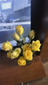 玫瑰10枝装云南鲜花直发节日鲜花礼物花束家用38女神妇女节礼物 黄玫瑰10枝 实拍图