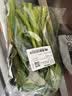 菜心约300g 实拍图