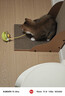 licheers猫玩具逗猫棒不倒翁猫咪玩具薄荷球猫咪自嗨解闷逗猫用品 嫩绿色 实拍图
