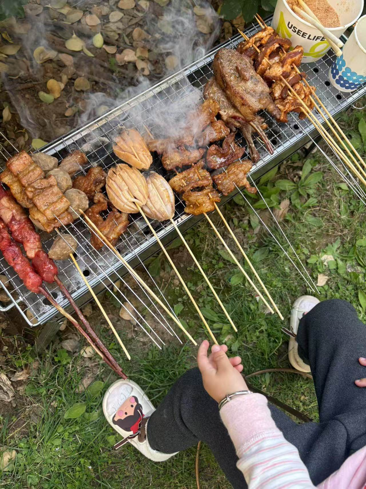 闪电客烧烤炉户外烧烤架家用烤肉架便携式可折叠碳烤炉木炭烤肉烧烤炉架 【老式烤炉】40cm常规款 【轻松折叠-加固加厚-超强耐用-终身质保-烧漏包换】 实拍图