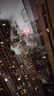 洒拖（SATUO）T30擦窗机器人 家政专用自动擦玻璃神器 洒脱高层户外智能喷水擦玻璃窗机器人 标准版 实拍图