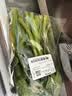 菜心约300g 实拍图