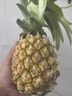 广东徐闻香水菠萝新鲜水果生鲜热带孕妇水果整箱包邮 【限时低价】1个装  净重650g起 实拍图