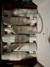CANIS FAMILIARIS布多格 法国原瓶进口红酒骑士干红葡萄酒750ml*6节日送礼礼盒整箱 实拍图