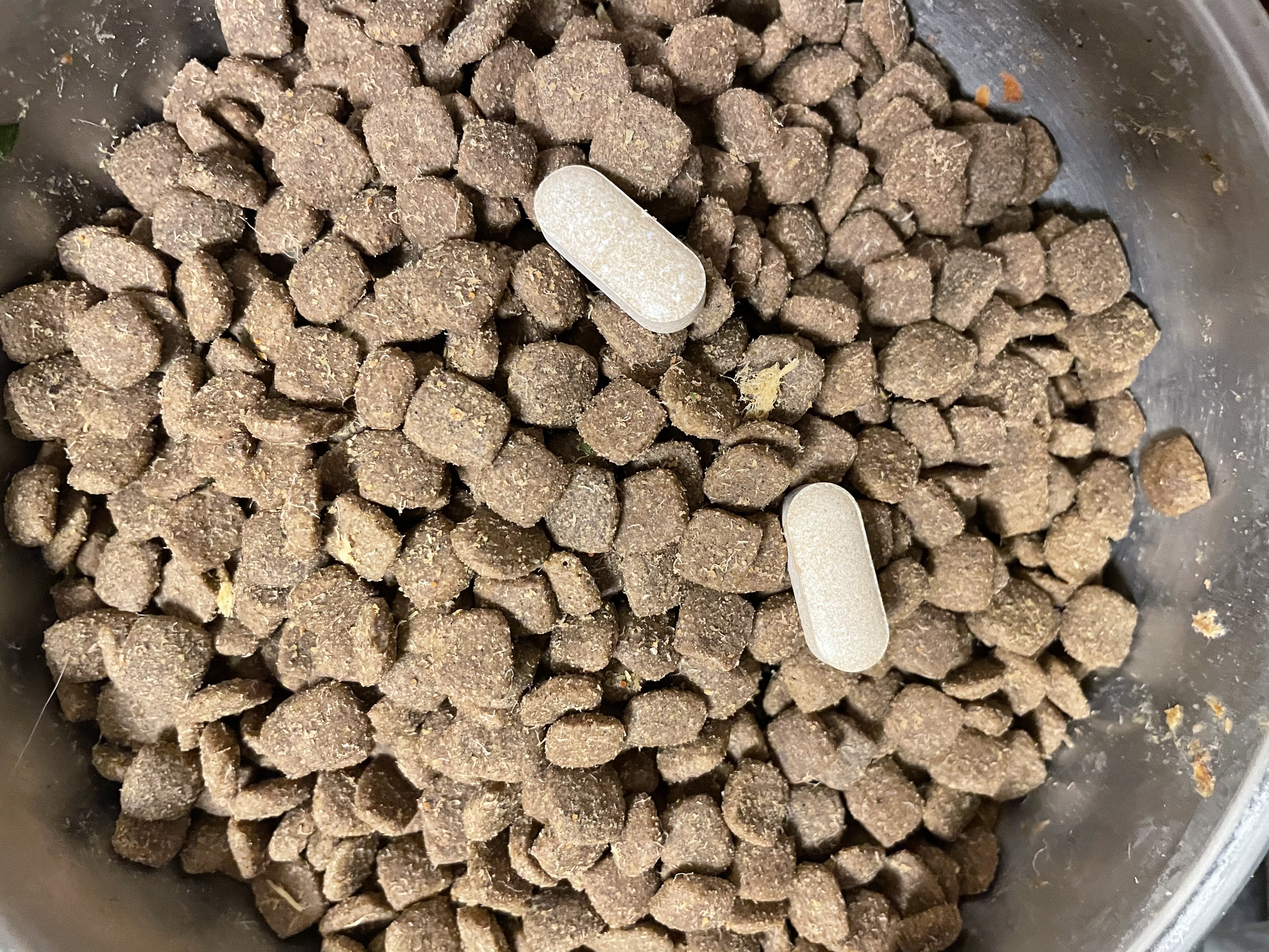 谷登关节宝24粒/盒 宠物狗狗猫咪鲨鱼软骨素 含葡萄糖胺盐硫酸软骨素 谷登关节宝 24粒*1盒 实拍图