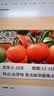 IAM City Farmer小番茄种子儿童种植盆栽学生植物观察杯开学季教师节礼物10031 实拍图