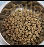 LEGENDSANDY蓝氏狗粮真鲜乳鸽中小型犬泰迪比熊生骨肉冻干鲜肉犬粮4.5kg9斤 实拍图